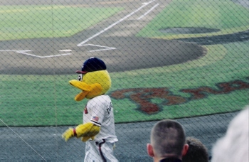 Picture of the mascot