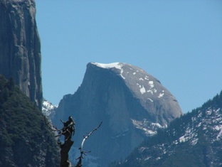 Visit Yosemite