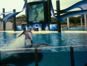 Man riding whale