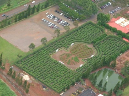 Dole Maze from Helicopter