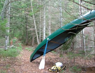 Picture of canoe resting on tree