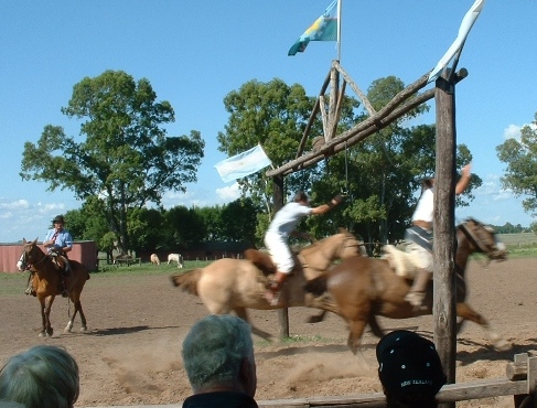 Argentine Gauchos